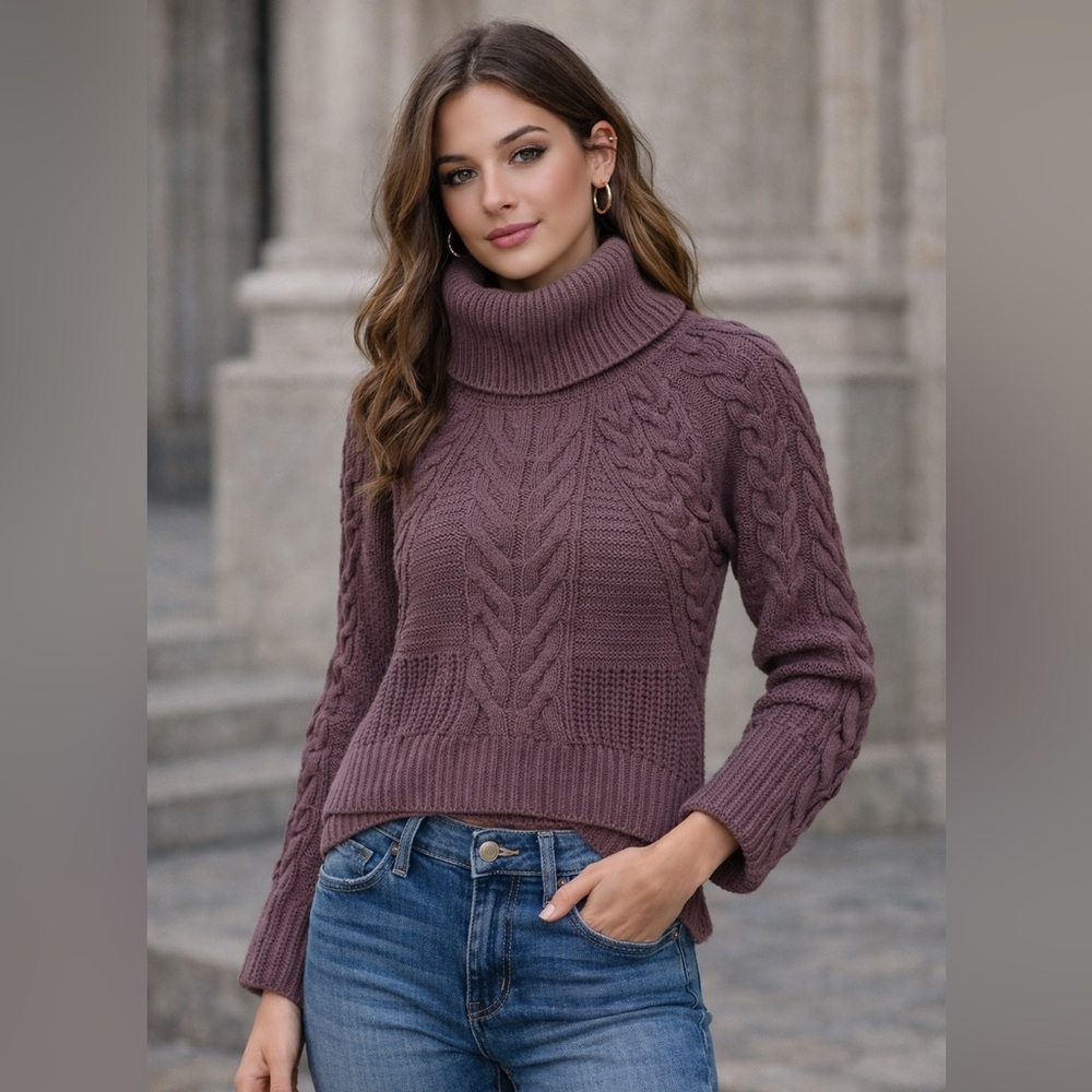 Express Plum Cable Knit Turtleneck Sweater